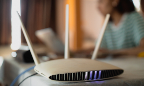 FTTH (Fiber to the Home)